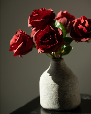 Signature Long Stem Blooming Rose
