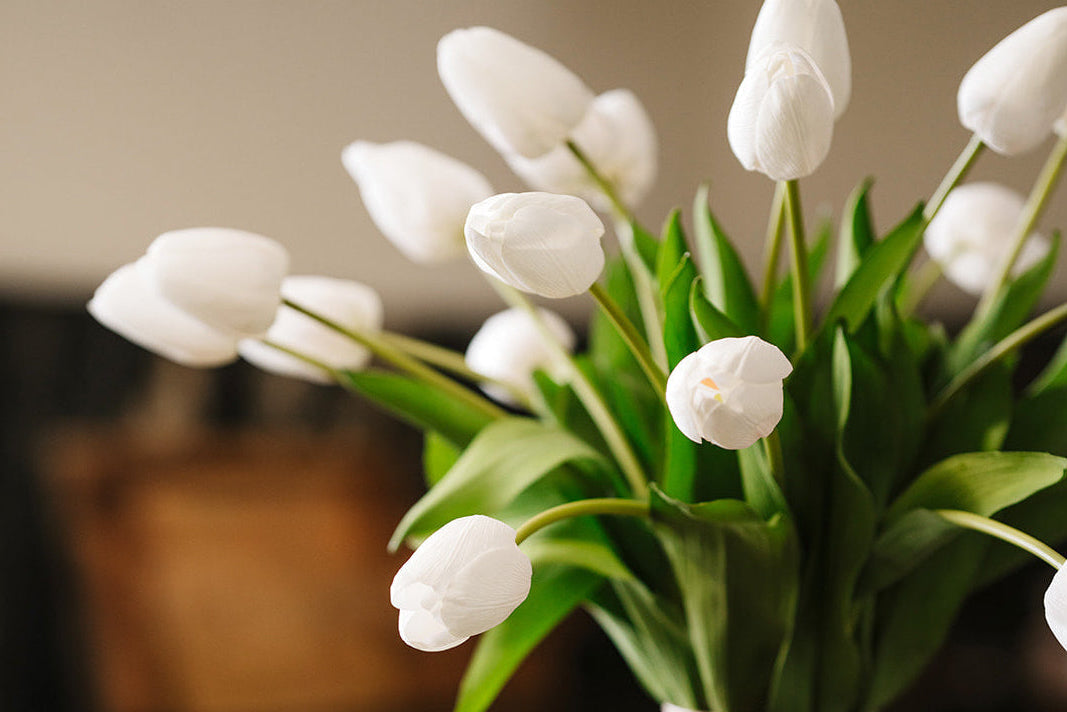 Long Stem Tulip