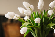 Long Stem Tulip