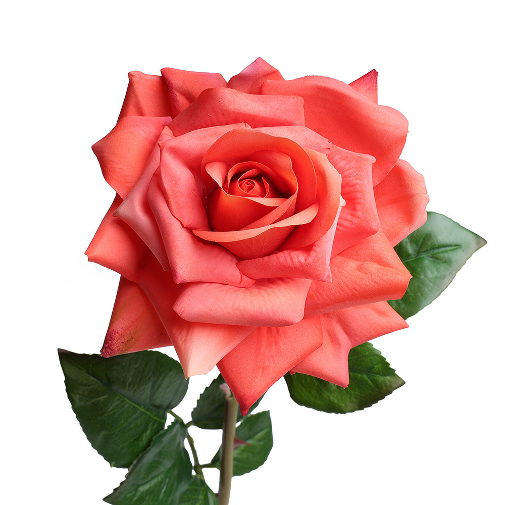 Realistic Long Stem Open Rose for Lasting Beauty | Fauxliage