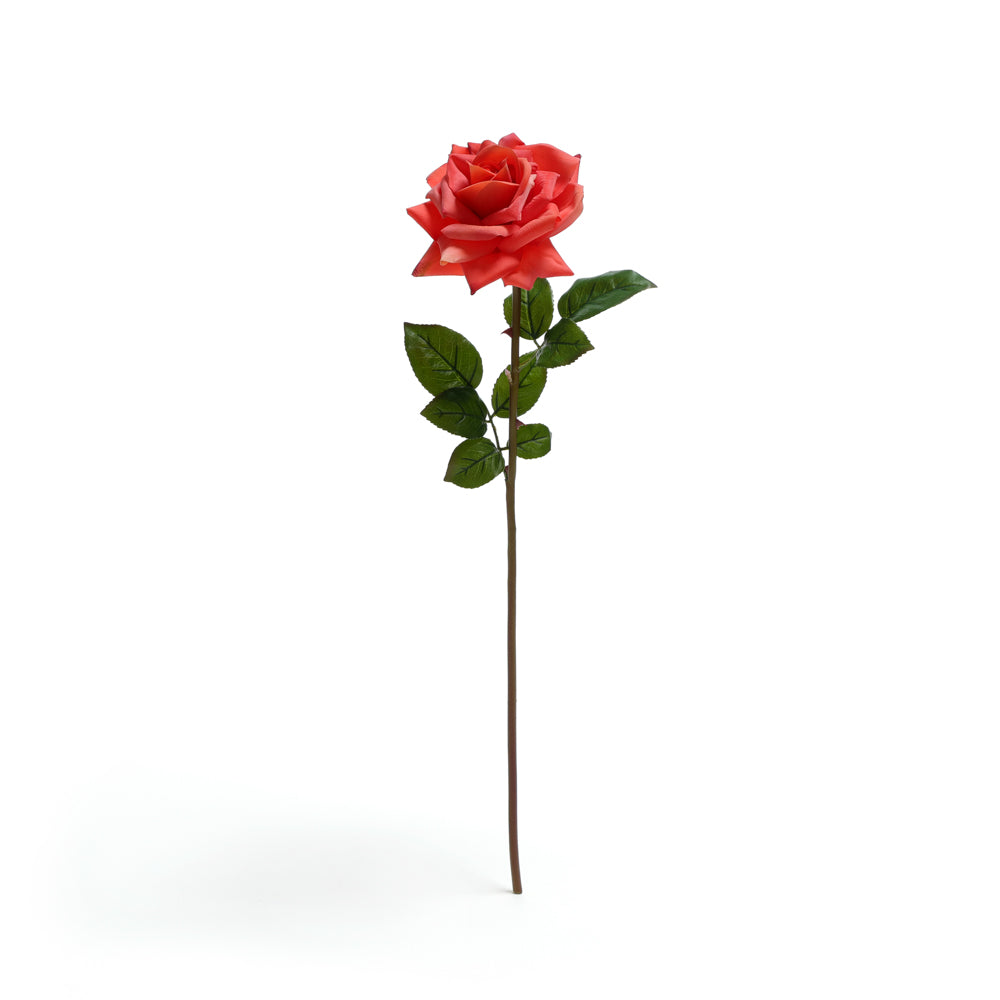 Signature Long-Stem Open Rose