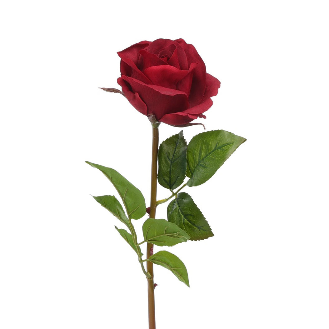 Signature Long-Stem Blooming Rose