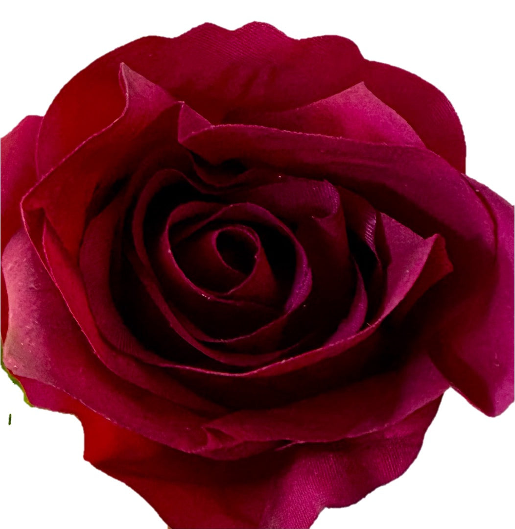 Signature Long Stem Blooming Rose