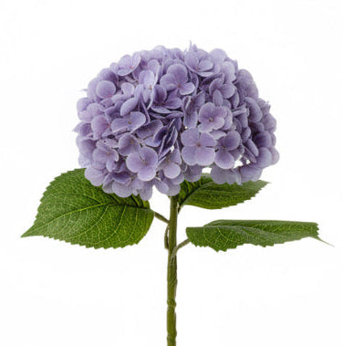 専用^_^新品未開封品hydrangea様バラメモまとめ売り Smooth Hydrangea Stems for Elegant Home Decor | Fauxliage