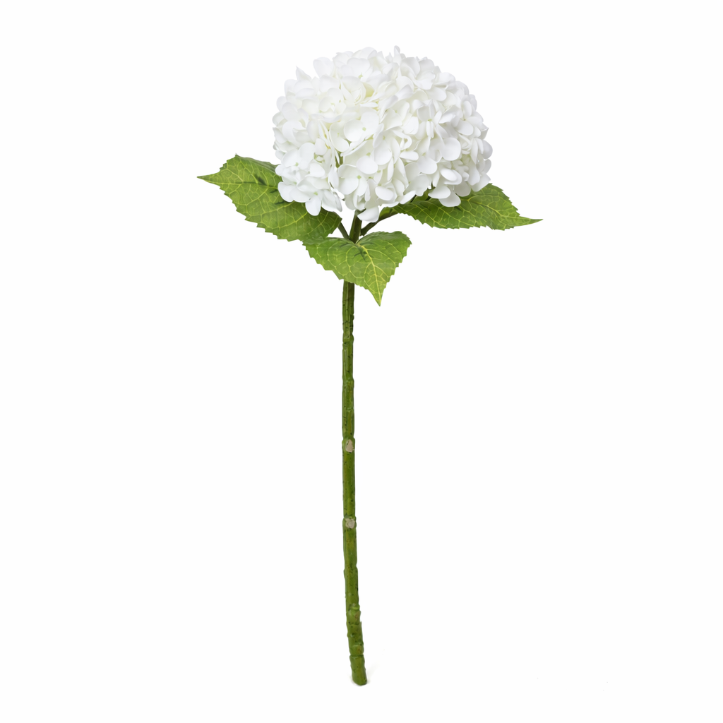 Hydrangea Smooth White Product Image