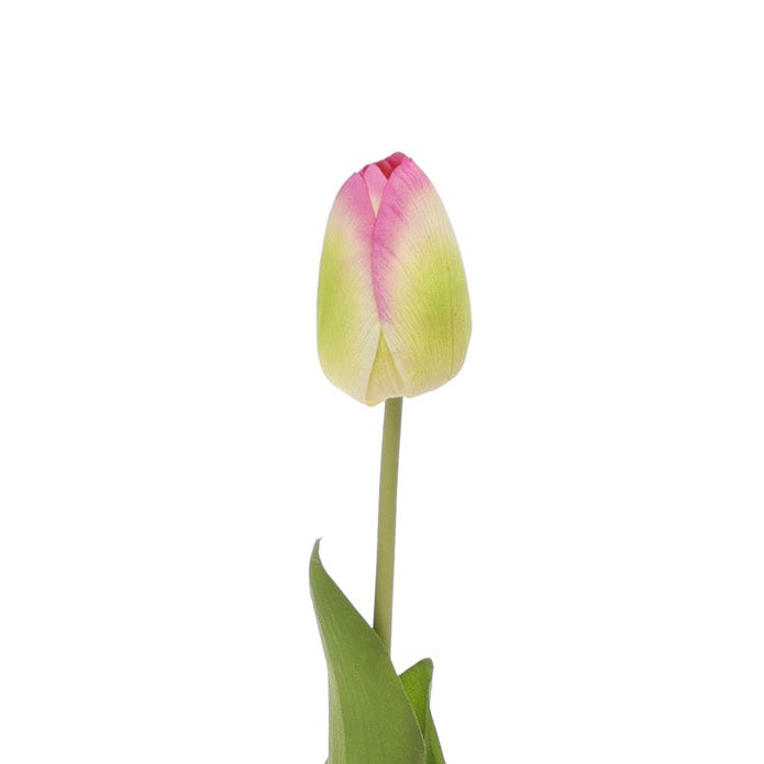 Tulip Pink Green Product Image