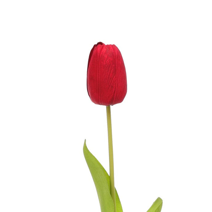 Tulip Red Product Image